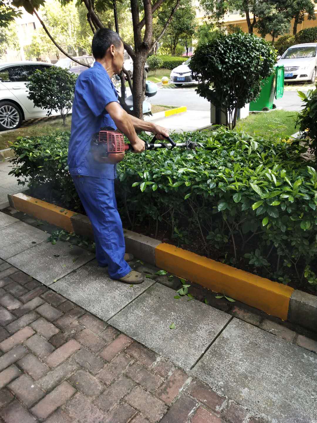 常德物業管理,物業企業,陽光物業
